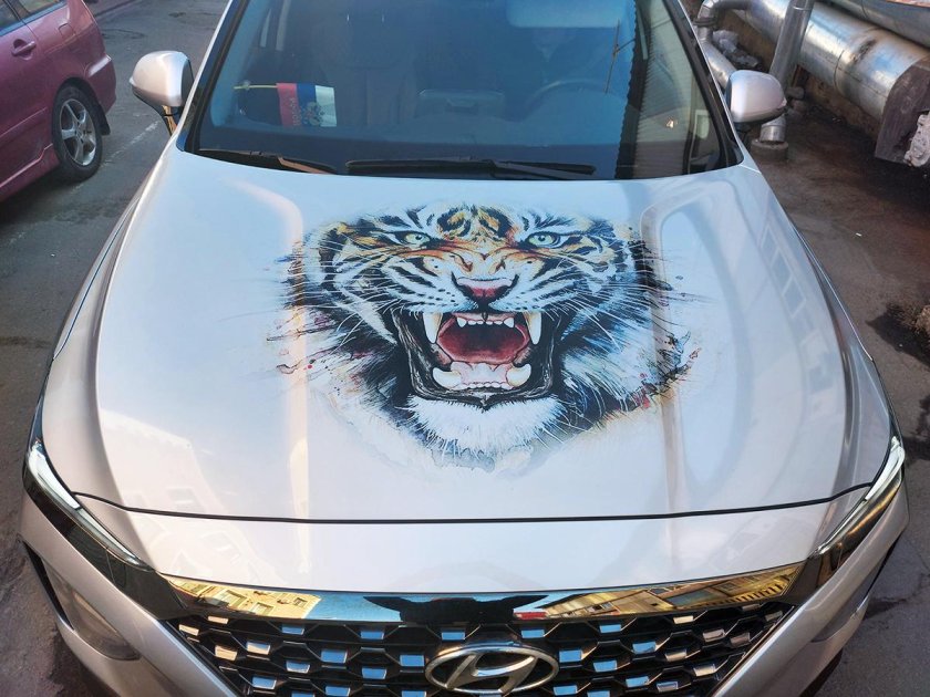 Винилография медведь капот