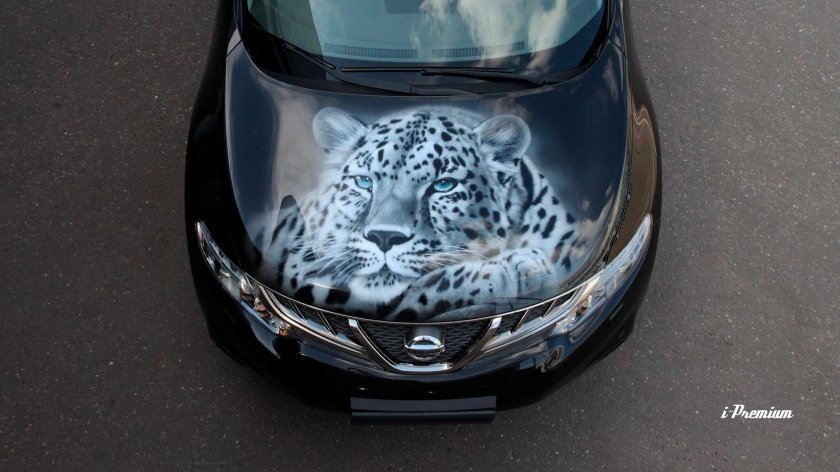 Винилография Murano Nissan z51