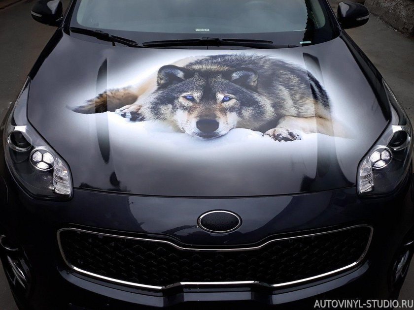 Наклейки на капот автомобиля