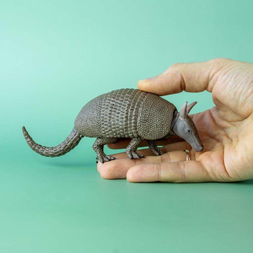 Трехпоясный броненосец животное