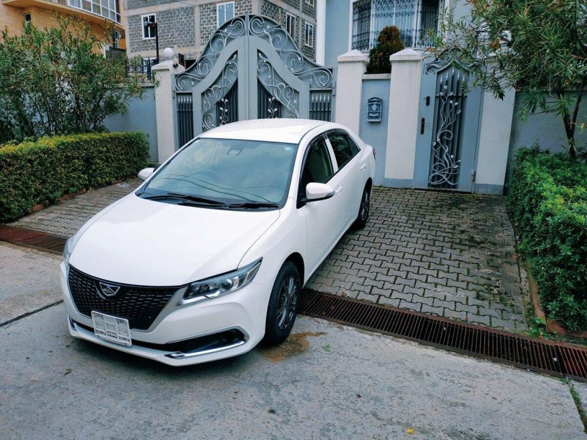 Аллион 2019 фото