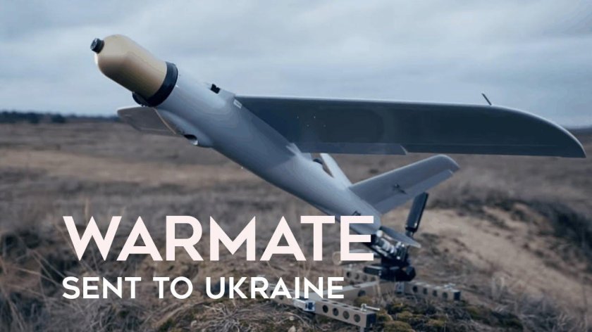 Барражирующий боеприпас Phoenix Ghost