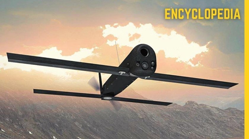 Дрон-камикадзе Switchblade 300