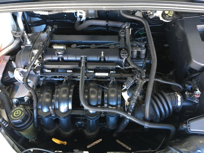 Мотор фокус 2 1.6