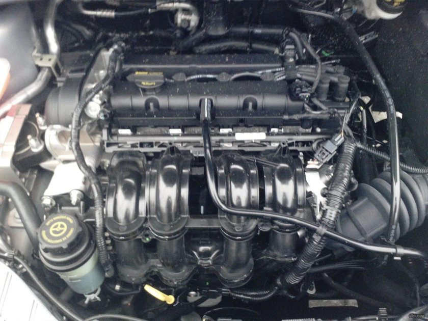 Форд фокус 3 1.6 125