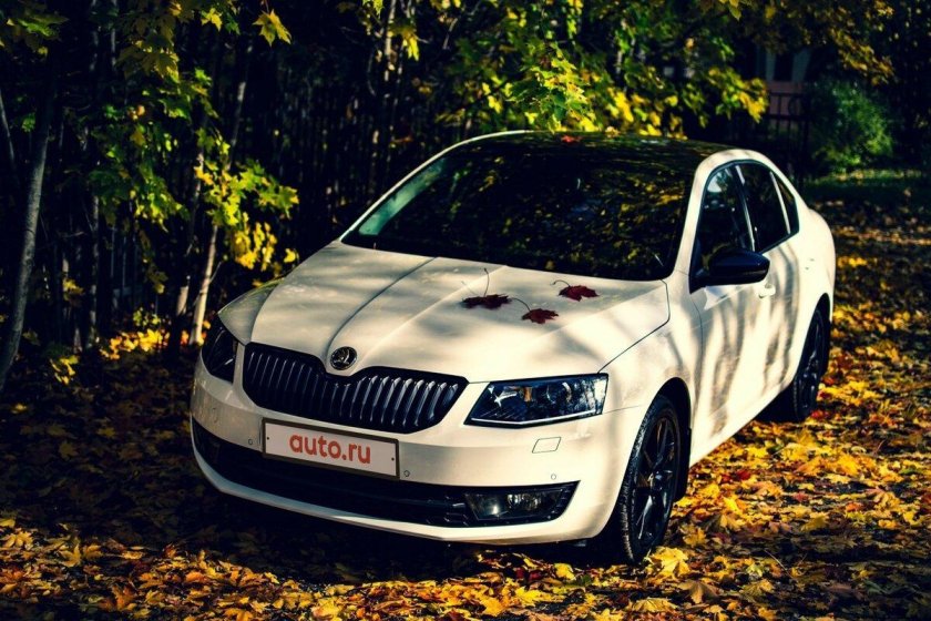 Шкода Октавия а7 2016