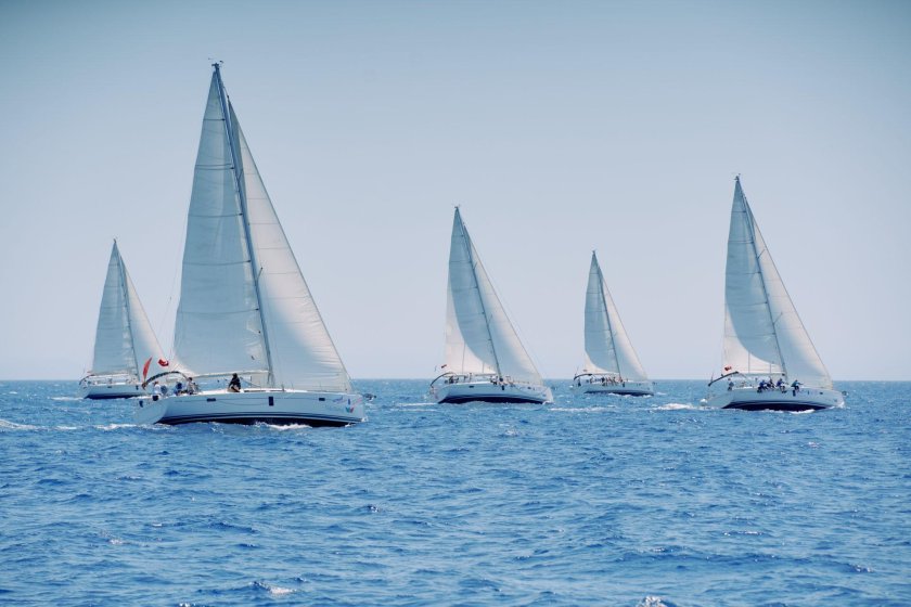 Парусная регата