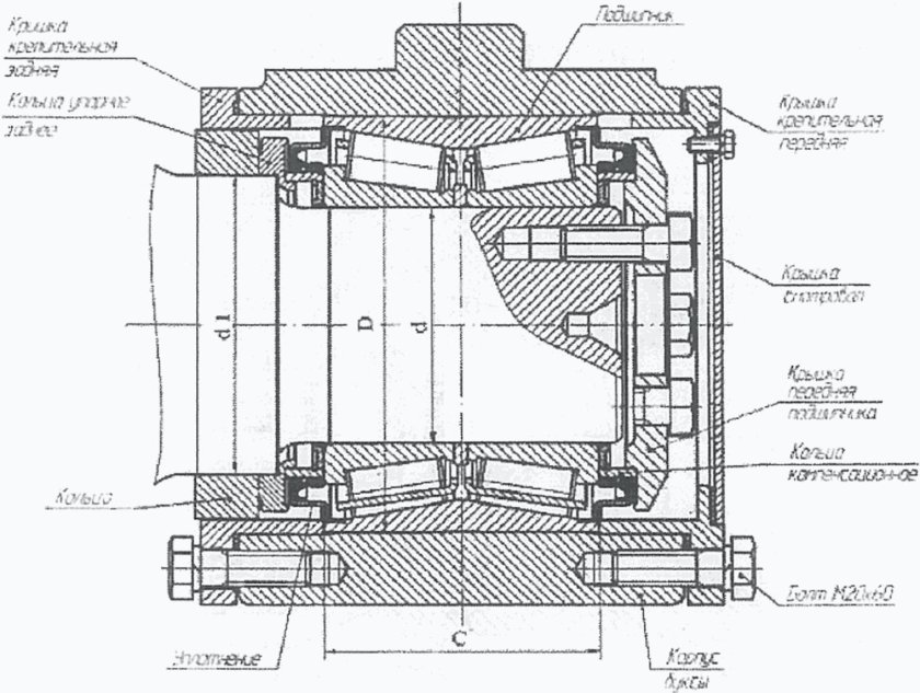 Буксовый узел с подшипниками кассетного типа