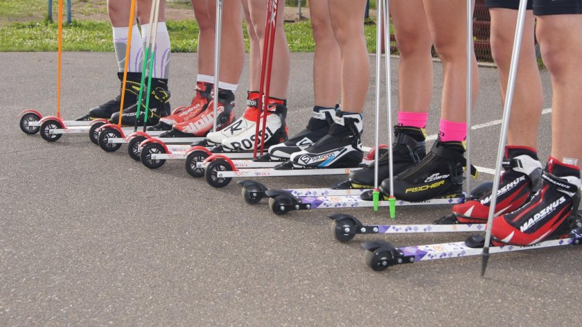 Лыжероллеры Эльва классика