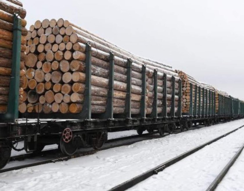 Вагоны с лесом