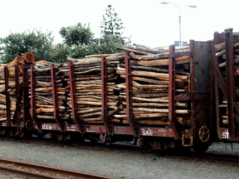 МТУ платформа 13-6895 погрузка пиломатериала