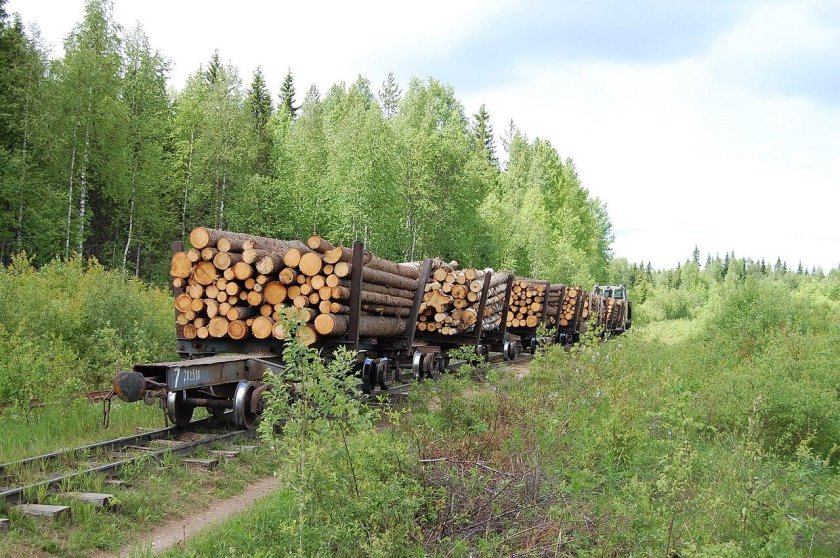 Вагон лесовоз УЖД