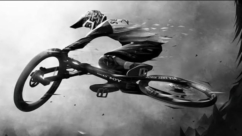 Вело МТБ арт