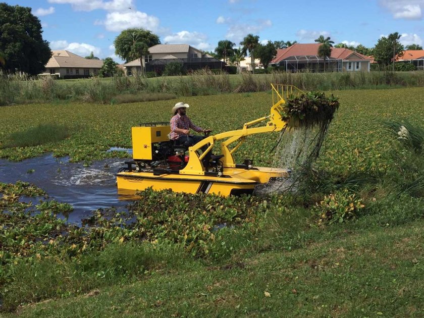 Очистка водоемов