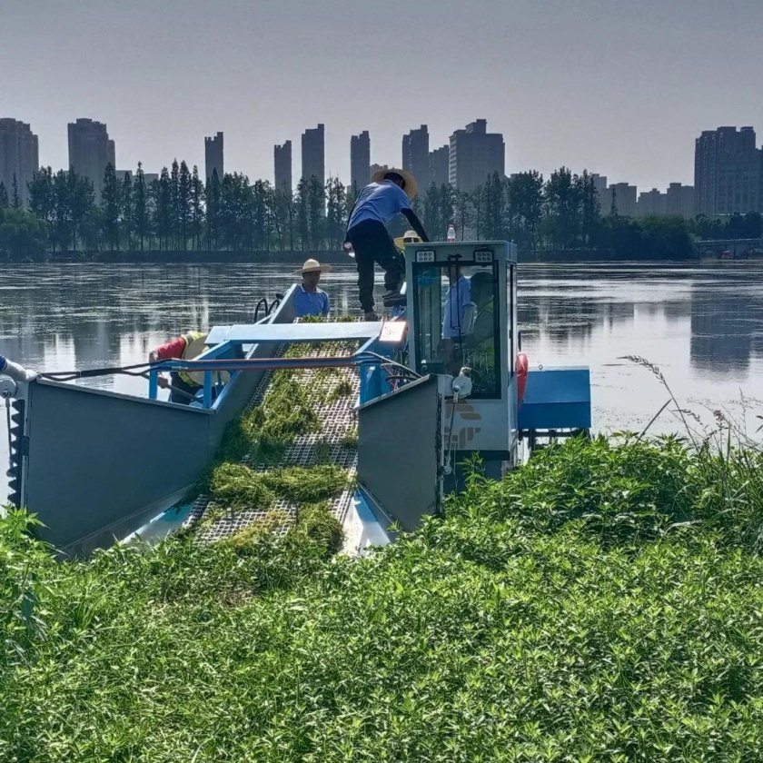 Роботы для очистки водоемов