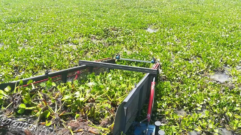 Комбайн водорослей