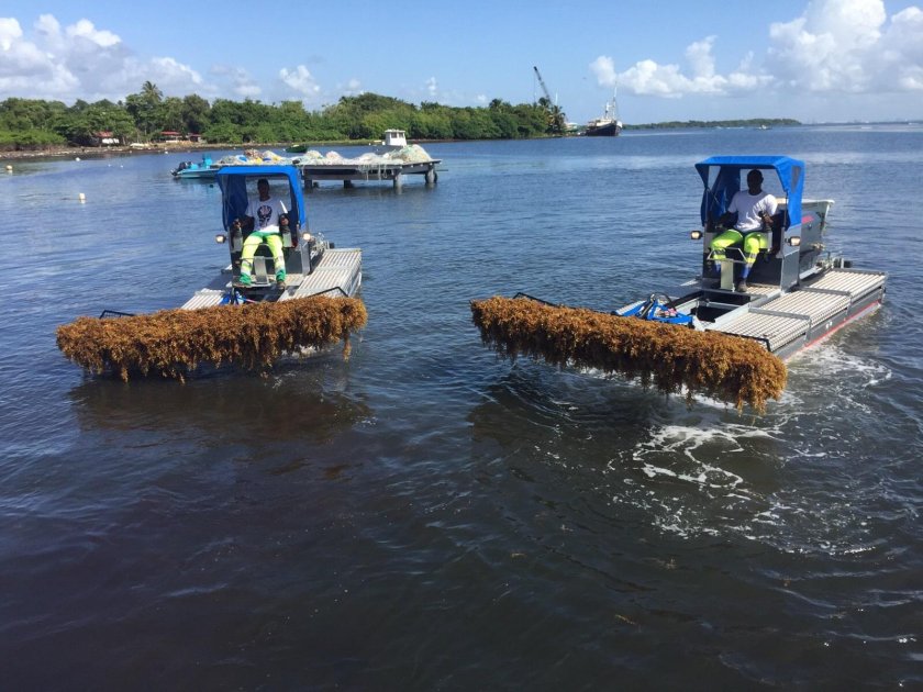 Очистка рек