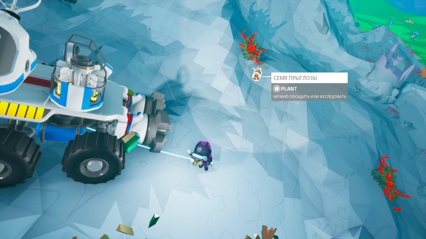 Астронир семена прыглозы