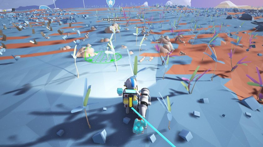 Прыглоза астронир