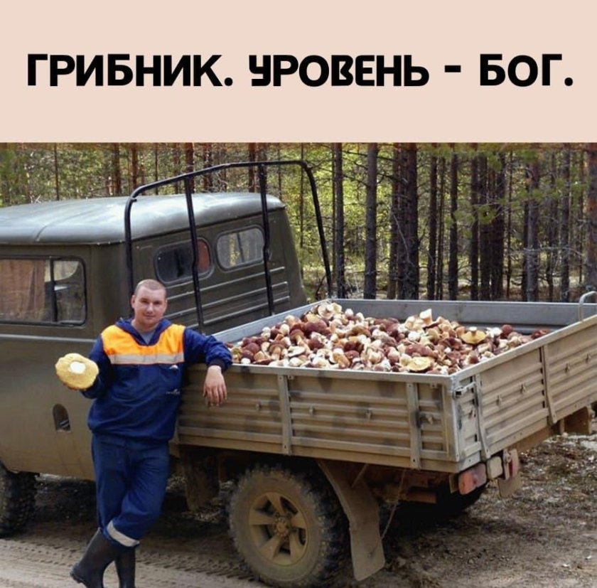 Полный прицеп белых грибов