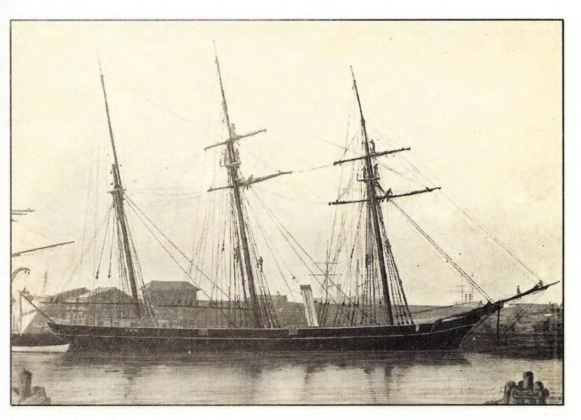 Пластун клипер 1856