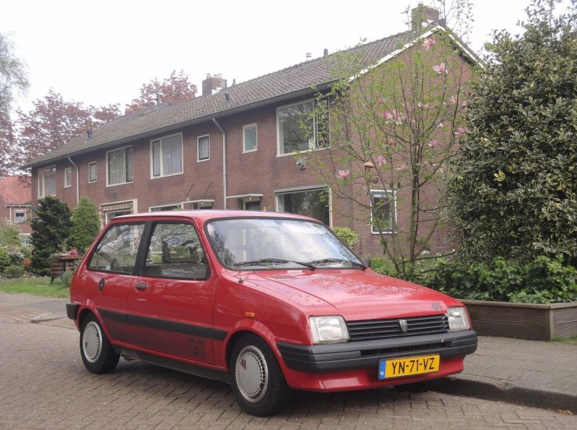 Austin Metro 1980
