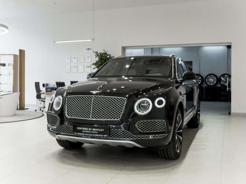 Бентайга 2 цвета