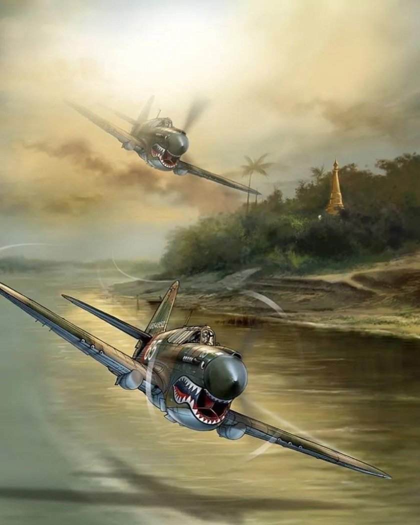 Romain Hugault Авиация