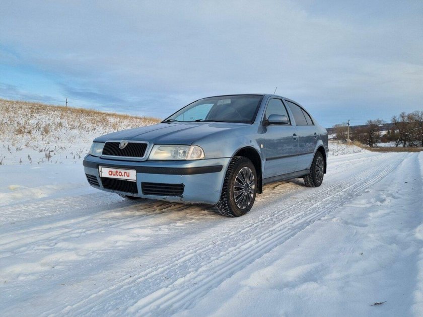 Серо голубая Октавия тур