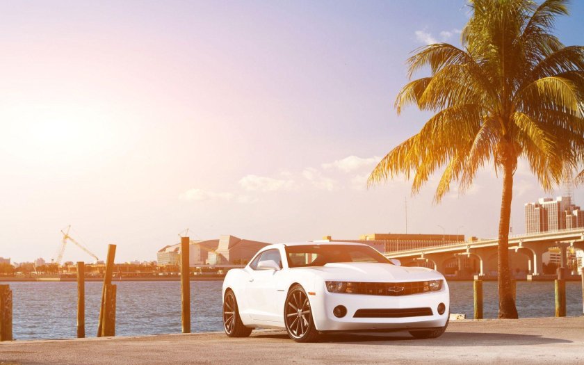 Шевроле Камаро белая