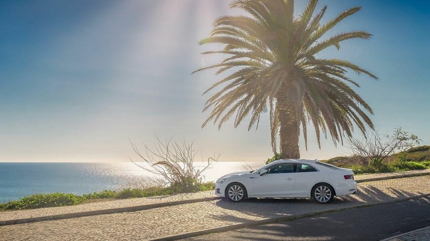 Машина и пальмы