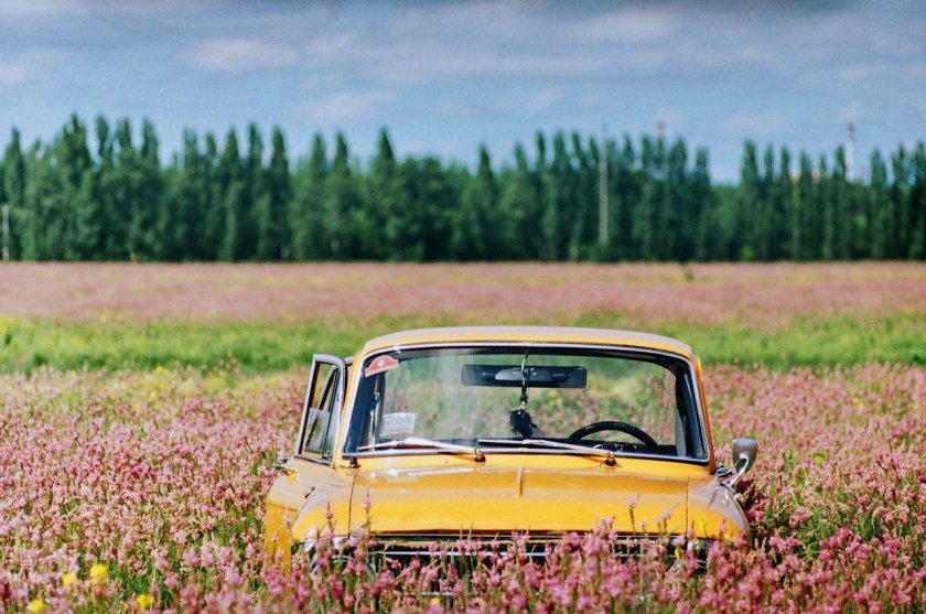 Машина в поле