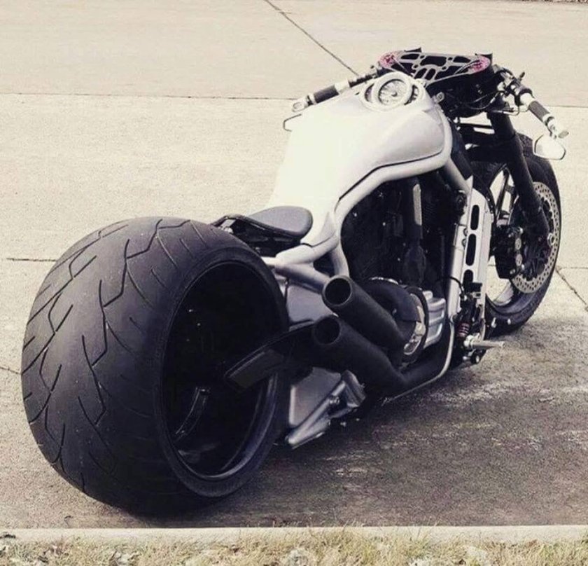 Harley davidson v rod custom