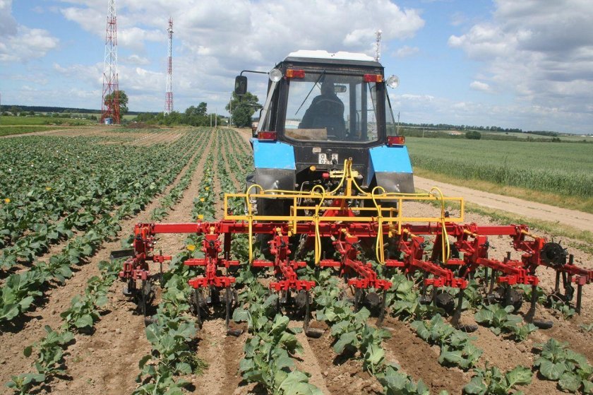 Культиватор–опрыскиватель универсальный Коу