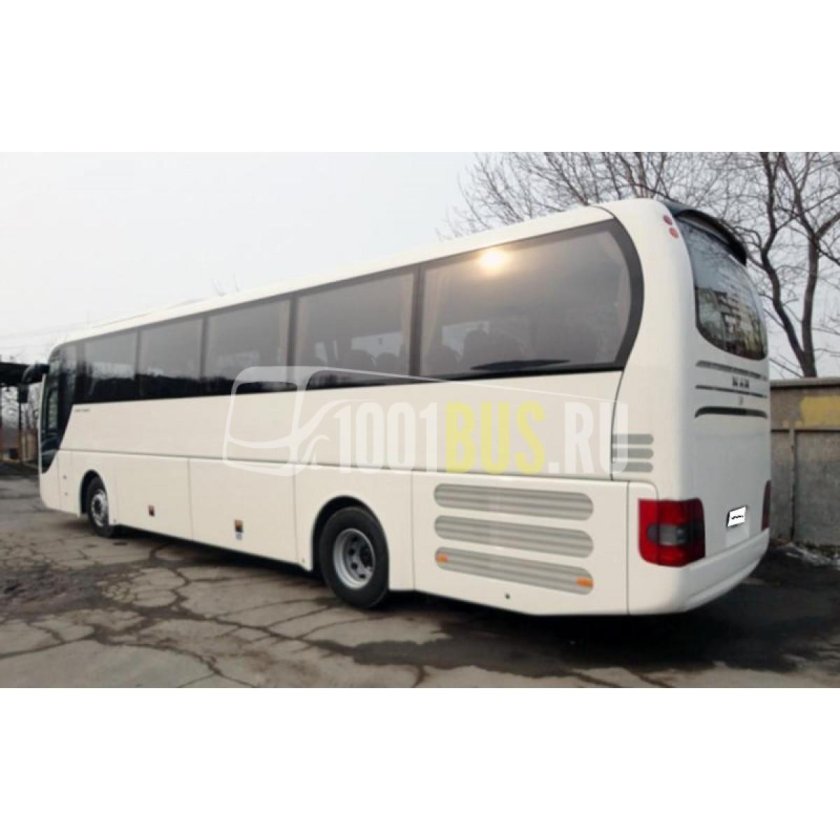 Автобус ман 222