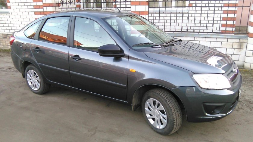 Жимолость Гранта