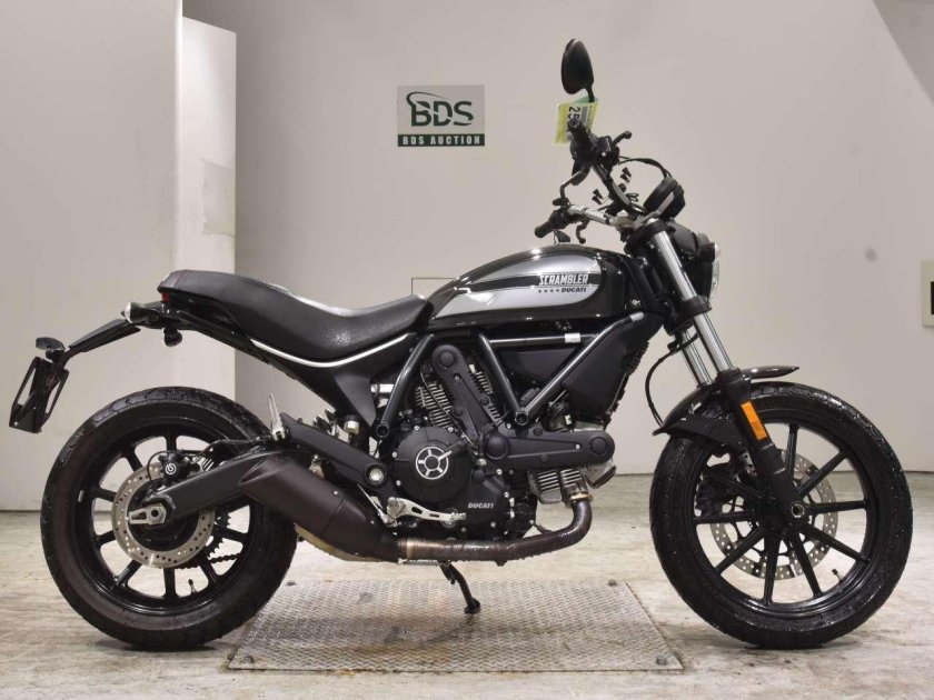 Ducati scrambler 1100