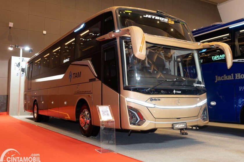 Туристические автобусы