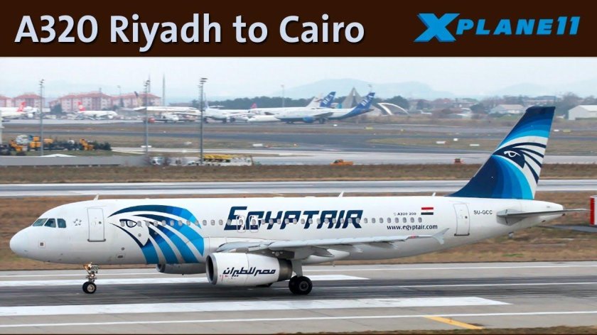 EGYPTAIR 804
