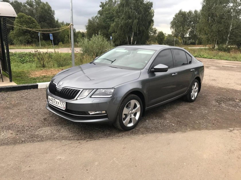 Skoda Octavia a8 серая
