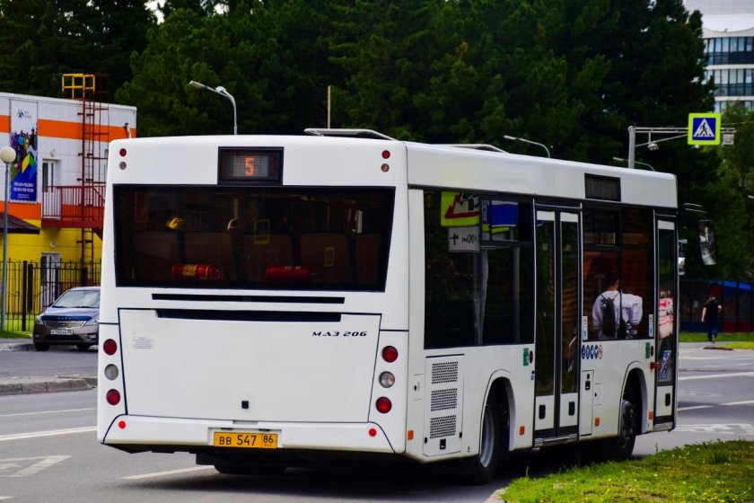 МАЗ-206 автобус