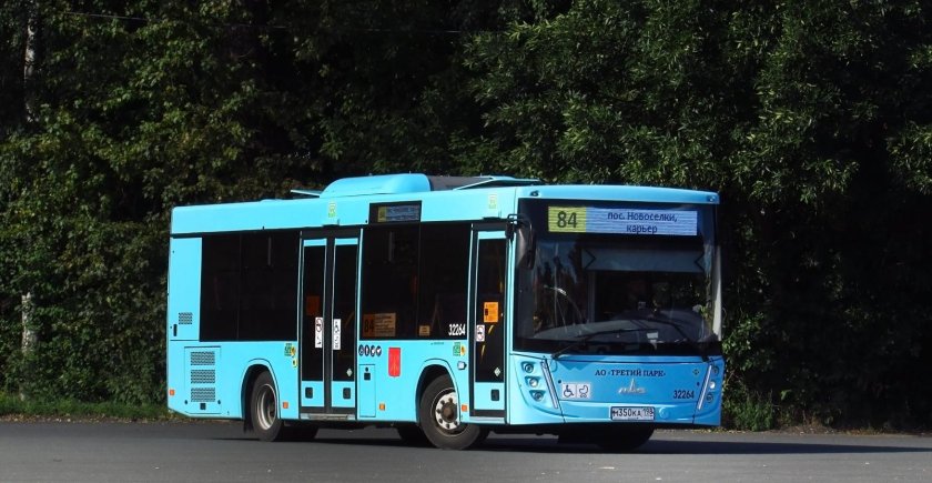 262 Автобус СПБ