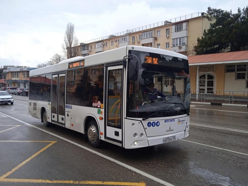 МАЗ-206 автобус