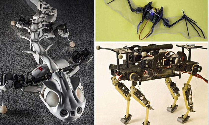 Роботы животные