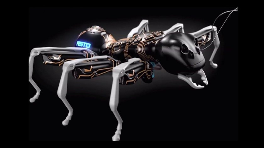 Роботы-муравьи BIONICANTS
