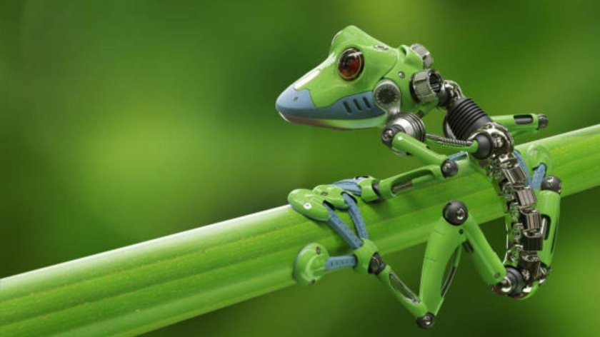 Бионика и биомиметика