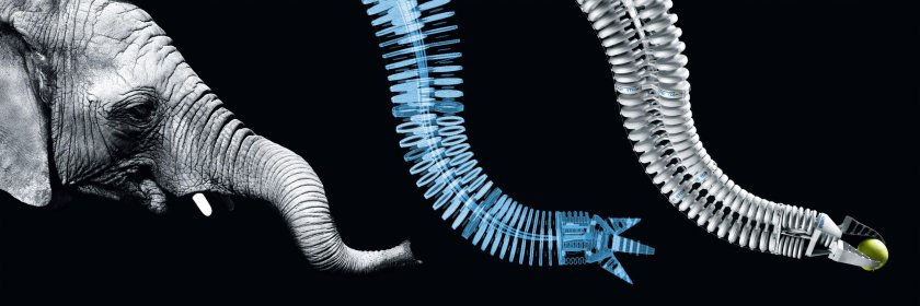 Бионика и биомиметика