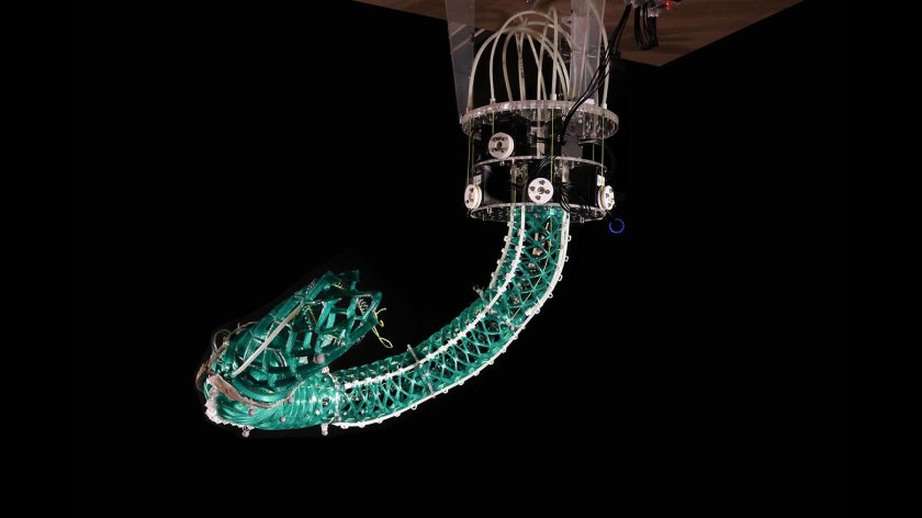 Роботизированная рука похожа на хобот слона