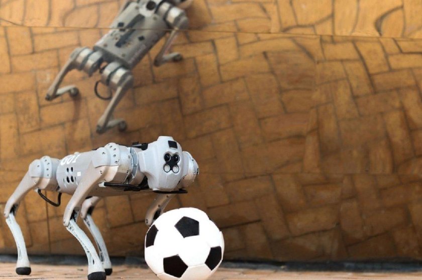 Четвероногий робот