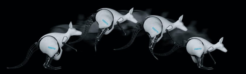 Bionic Festo кенгуру